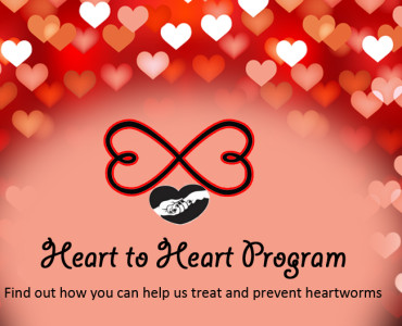 Heart to heart program - screenshot.