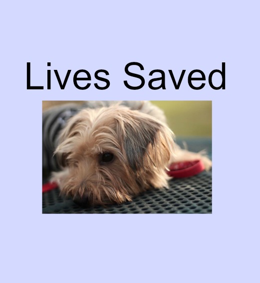 A dog laying on a blanket with the words lives saved.