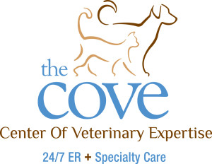 the cove logo
