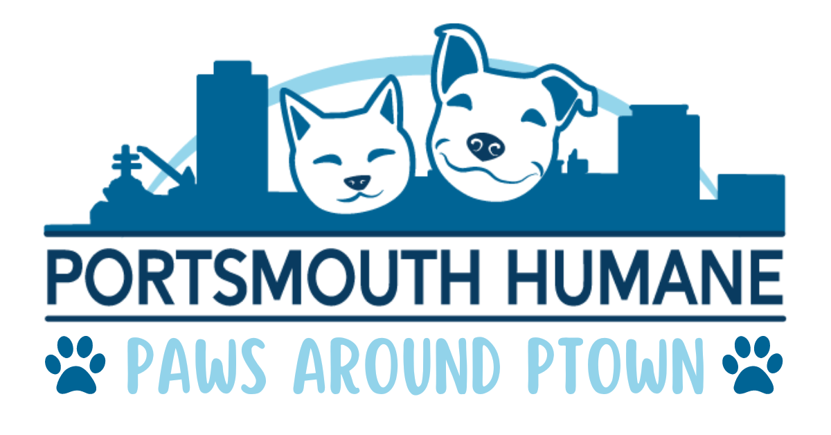 Field Trips for Shelter Dogs Portsmouth Humane Society