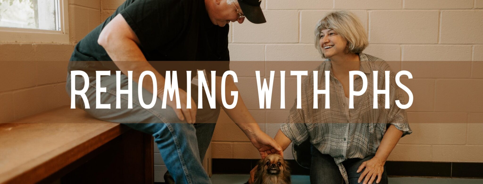 Placing Your Pet for Rehoming Portsmouth Humane Society