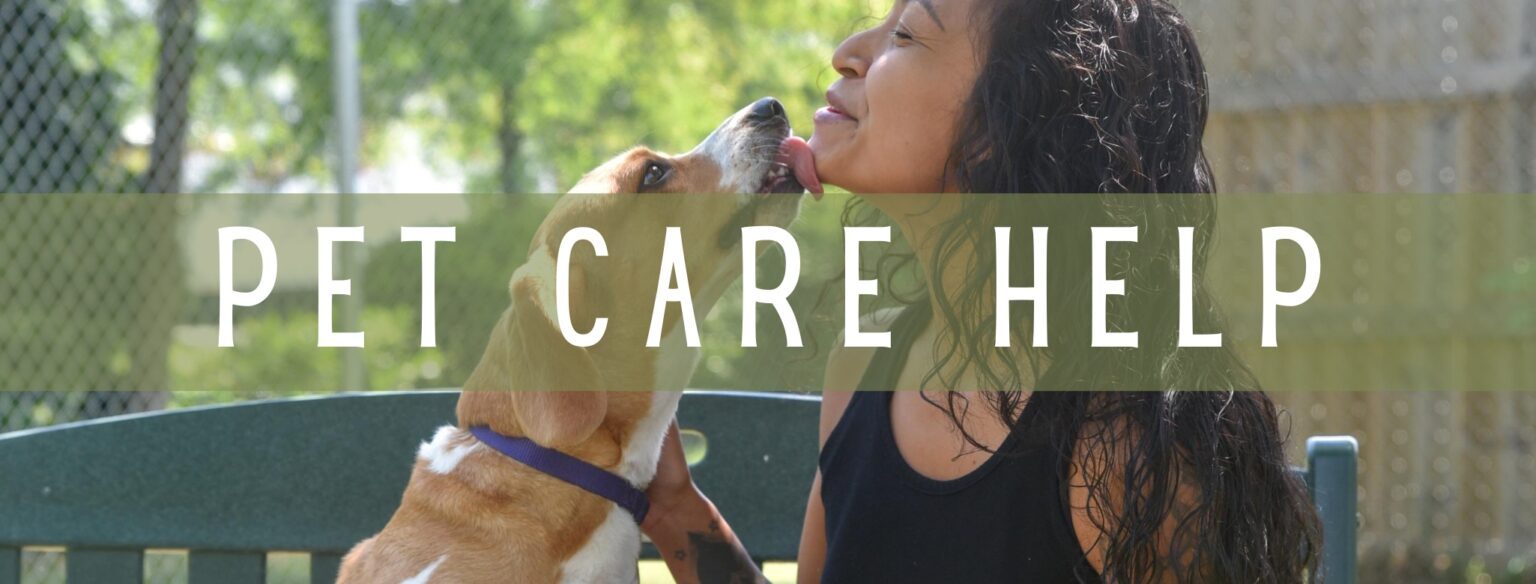 Placing Your Pet for Rehoming Portsmouth Humane Society