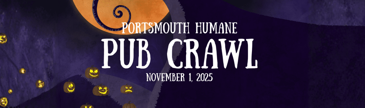2025 Pub Crawl WEBSITE SLIDER